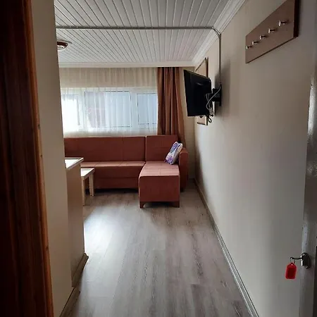 Larsens ألانيا