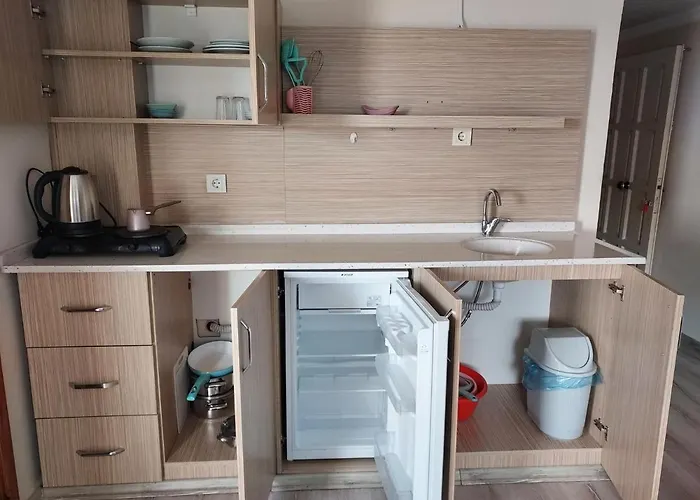 Larsens Apart Otel *